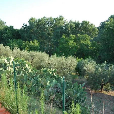 Marilena Casa vacanze Andriace