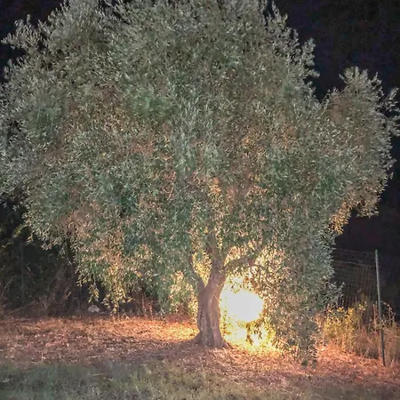 Casa vacanze Marilena Andriace